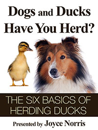 The Six Basics of Herding Ducks