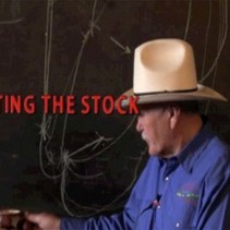 Rating the Stock